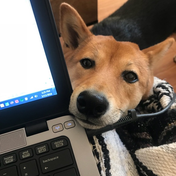 🌟👑New listings & PRICE DROPS👑🌟 - Picture 3 of 7